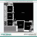 Cindy's Layered Templates - Photo Palooza 321 by Cindy Schneider