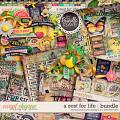a zest for life bundle: simple pleasure designs by jennifer fehr a zest for life bundle: simple pleasure designs by jennifer fehr