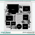 Cindy's Layered Templates - Photo Palooza 324 by Cindy Schneider Cindy's Layered Templates - Photo Palooza 324 by Cindy Schneider