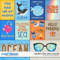 Under the Sea Cards by Clever Monkey Graphics Under the Sea Cards by Clever Monkey Graphics