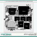 Cindy's Layered Templates - Photo Palooza 338 by Cindy Schneider Cindy's Layered Templates - Photo Palooza 338 by Cindy Schneider