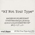 AY Not Your Type font {PU} by Amanda Yi