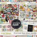 If Not Now Then When Bundle by Pink Reptile Designs & Studio Basic