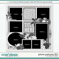 Cindy's Layered Templates - Photo Palooza 351 by Cindy Schneider