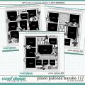 Cindy's Layered Templates - Photo Palooza Bundle 117 by Cindy Schneider Cindy's Layered Templates - Photo Palooza Bundle 117 by Cindy Schneider