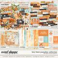 Hey there Pumpkin: Collection by Kristin Cronin-Barrow