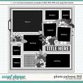 Cindy's Layered Templates - Photo Palooza 362 by Cindy Schneider