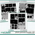 Cindy's Layered Templates - Photo Palooza Bundle 125 by Cindy Schneider