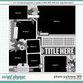 Cindy's Layered Templates - Photo Palooza 380 by Cindy Schneider