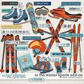 In the Winter Add-on Sports by Clever Monkey Graphics