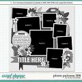 Cindy's Layered Templates - Photo Palooza 386 by Cindy Schneider
