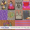 Remember the Magic: NOTRE DAME- CARDS by Studio Flergs