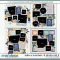 Cindy's Layered Templates - Take a Number: 5 Photo Vol. 2 by Cindy Schneider