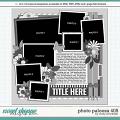 Cindy's Layered Templates - Photo Palooza 405 by Cindy Schneider Cindy's Layered Templates - Photo Palooza 405 by Cindy Schneider