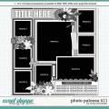 Cindy's Layered Templates - Photo Palooza 411 by Cindy Schneider