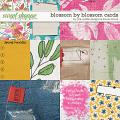 Blossom by Blossom Pocket Cards by Pink Reptile Designs and Tracie Stroud