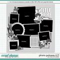 Cindy's Layered Templates - Photo Palooza 417 by Cindy Schneider Cindy's Layered Templates - Photo Palooza 417 by Cindy Schneider