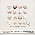 Adventures In My Imagination Flair by Ponytails