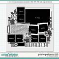 Cindy's Layered Templates - Photo Palooza 420 by Cindy Schneider