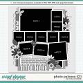 Cindy's Layered Templates - Photo Palooza 421 by Cindy Schneider