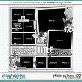 Cindy's Layered Templates - Photo Palooza 422 by Cindy Schneider