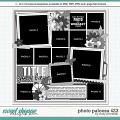 Cindy's Layered Templates - Photo Palooza 423 by Cindy Schneider Cindy's Layered Templates - Photo Palooza 423 by Cindy Schneider