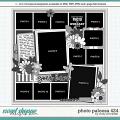 Cindy's Layered Templates - Photo Palooza 424 by Cindy Schneider Cindy's Layered Templates - Photo Palooza 424 by Cindy Schneider
