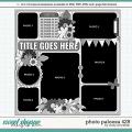 Cindy's Layered Templates - Photo Palooza 429 by Cindy Schneider