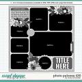 Cindy's Layered Templates - Photo Palooza 430 by Cindy Schneider Cindy's Layered Templates - Photo Palooza 430 by Cindy Schneider