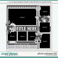Cindy's Layered Templates - Photo Palooza 431 by Cindy Schneider