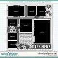 Cindy's Layered Templates - Photo Palooza 432 by Cindy Schneider