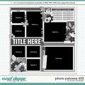 Cindy's Layered Templates - Photo Palooza 433 by Cindy Schneider