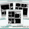 Cindy's Layered Templates - Photo Palooza Bundle 144 by Cindy Schneider