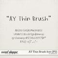 AY Thin Brush font {PU} by Amanda Yi