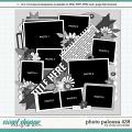 Cindy's Layered Templates - Photo Palooza 439 by Cindy Schneider