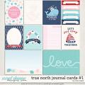 True North Cards #1 by Traci Reed