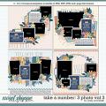 Cindy's Layered Templates - Take a Number: 3 Photo Vol. 3 by Cindy Schneider