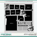Cindy's Layered Templates - Photo Palooza 440 by Cindy Schneider