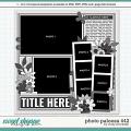 Cindy's Layered Templates - Photo Palooza 442 by Cindy Schneider
