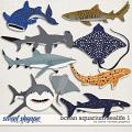 Ocean Aquarium Sealife 1 by Clever Monkey Graphics