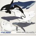Ocean Aquarium Sealife 4 by Clever Monkey Graphics 