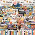 Picture Perfect by Amanda Yi and Laura Wilkerson
