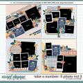 Cindy's Layered Templates - Take a Number: 5 Photo Vol. 3 by Cindy Schneider