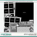 Cindy's Layered Templates - Photo Palooza 443 by Cindy Schneider