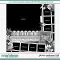 Cindy's Layered Templates - Photo Palooza 444 by Cindy Schneider