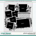 Cindy's Layered Templates - Photo Palooza 447 by Cindy Schneider