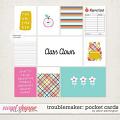 Troublemaker: Pocket Cards by Allison Pennington