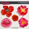 CU Silk Flowers 10 by Clever Monkey Graphics CU Silk Flowers 10 by Clever Monkey Graphics