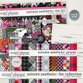 Autumn Aesthetic: The Collection by Allison Pennington