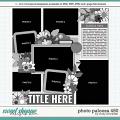 Cindy's Layered Templates - Photo Palooza 450 by Cindy Schneider